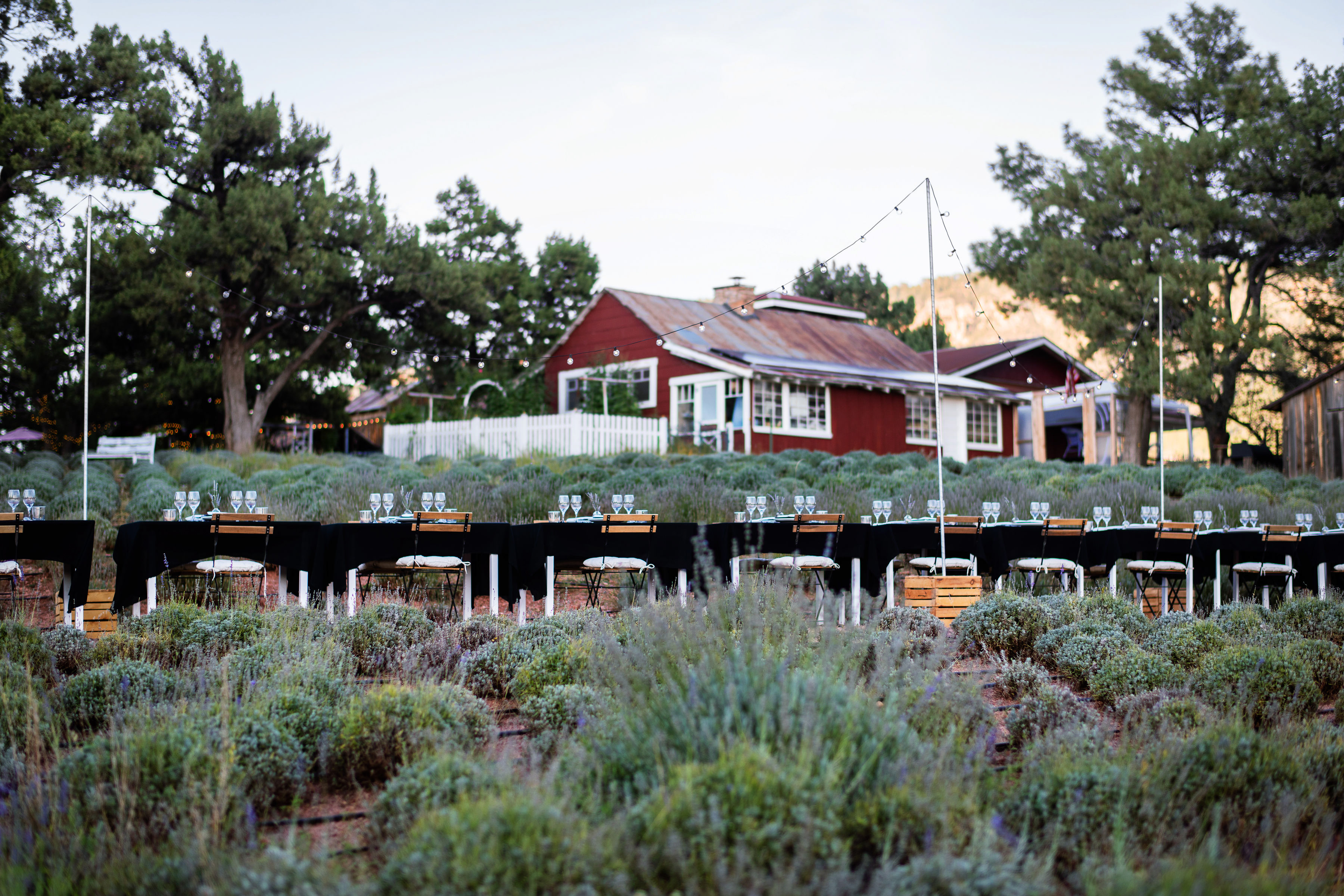 Eat Up!
A Trio of Splendid
Elevated Spots Show
How AZ Really Cooks